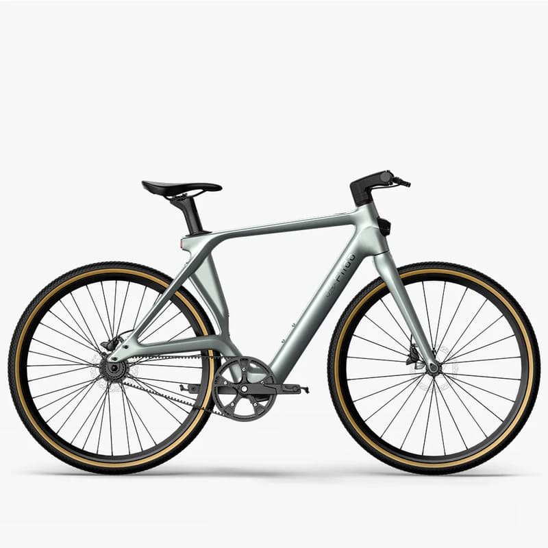 Fiido Air Vélo électrique Carbone