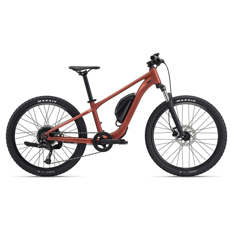 Giant Talon E+ 24