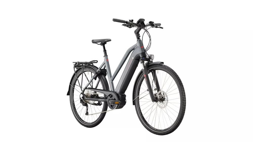 Victoria e-Trekking 12.6 trapèze